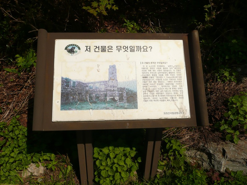 P1020219.jpg