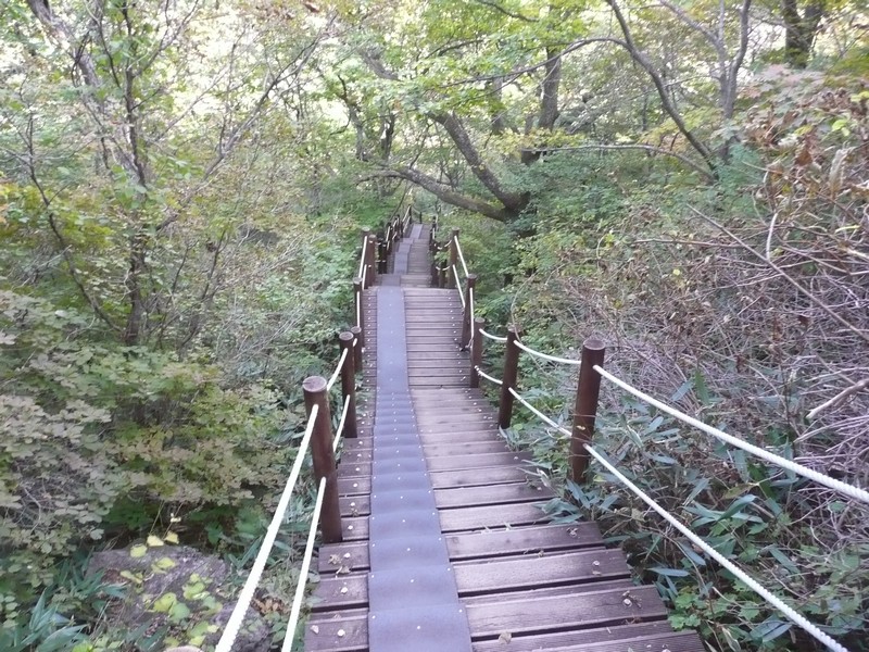 P1020311.jpg