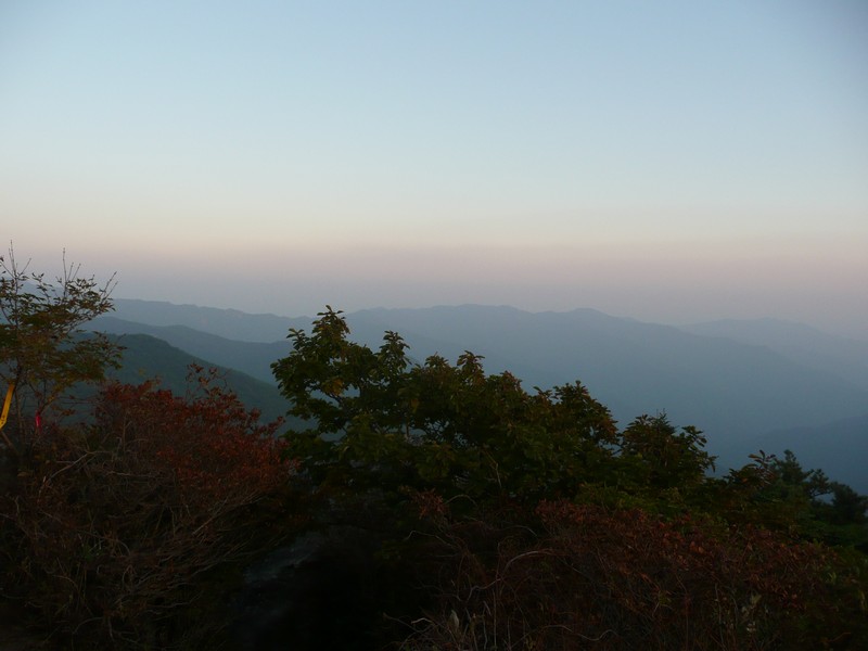 P1020345.jpg