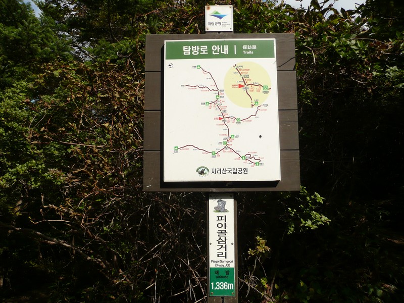 P1020283.jpg