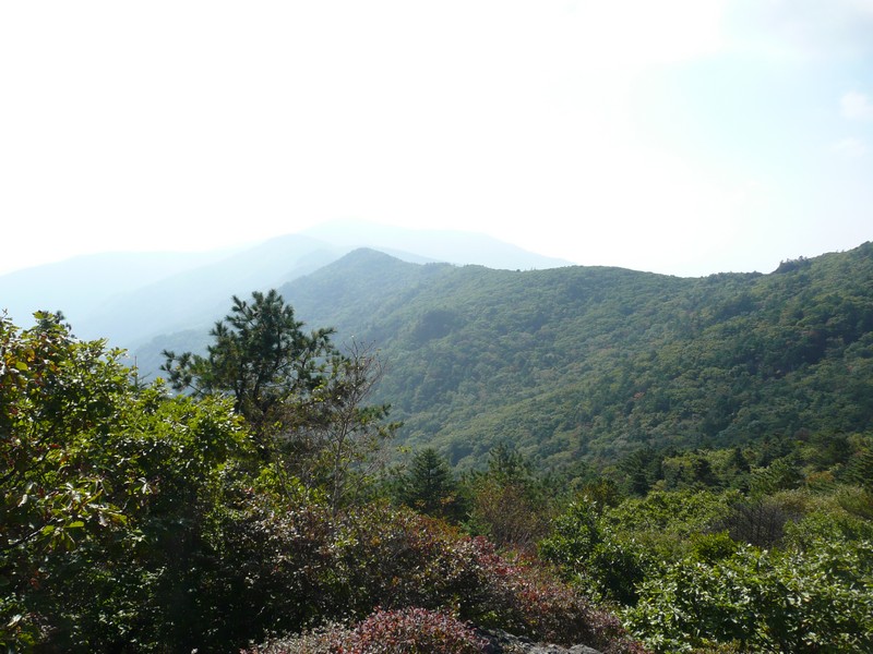 P1020301.jpg