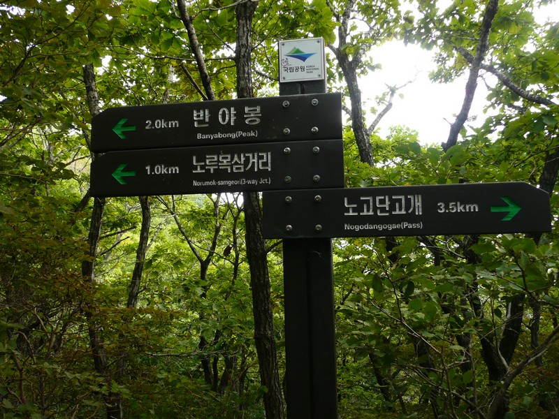 P1020284.jpg