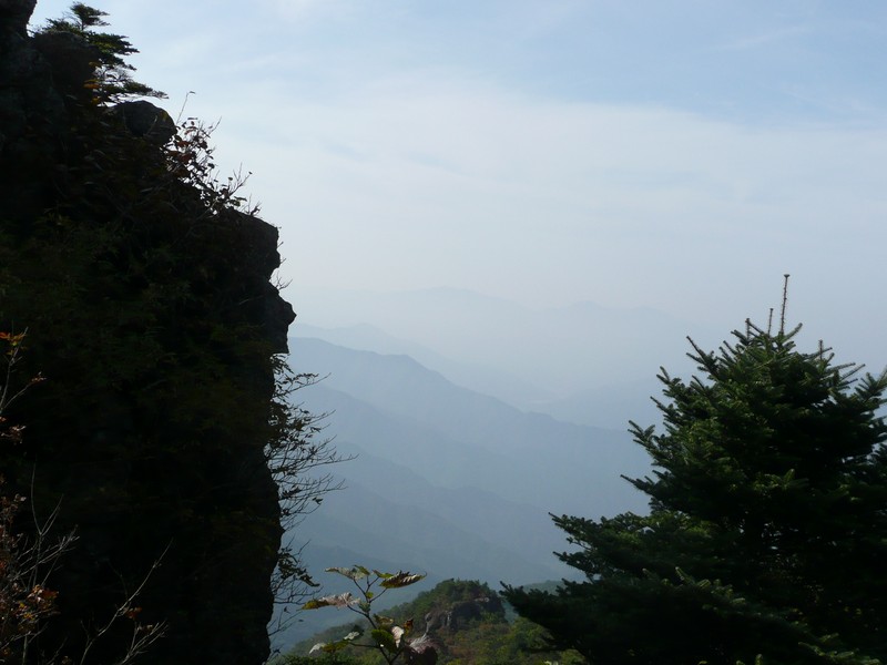 P1020381.jpg