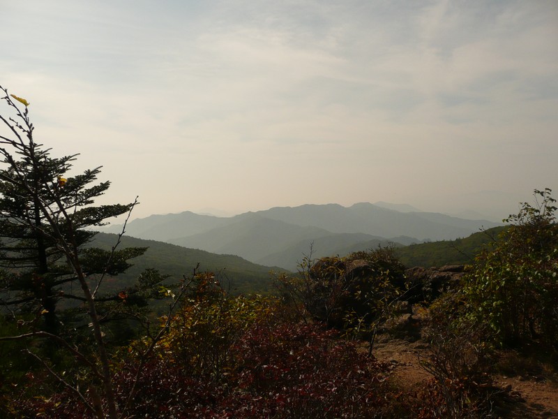 P1020402.jpg