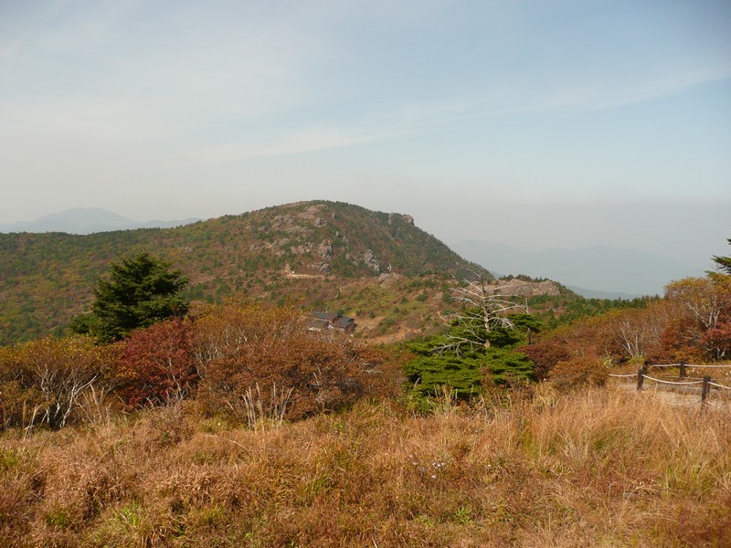 P1020412.jpg