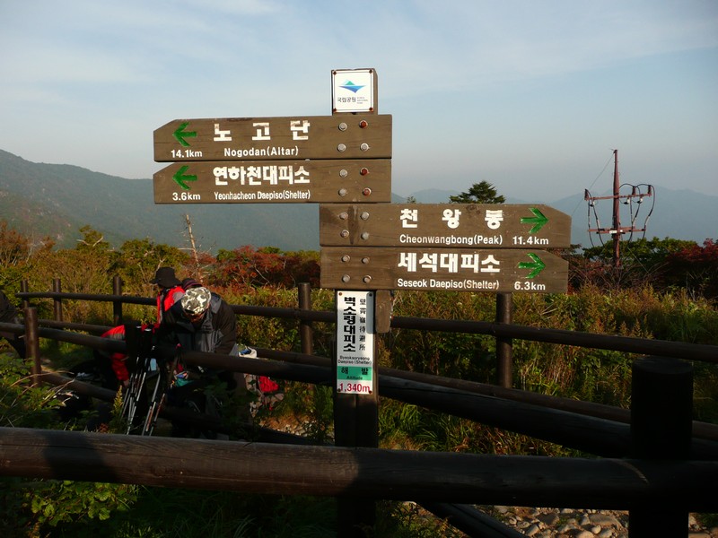 P1020356.jpg