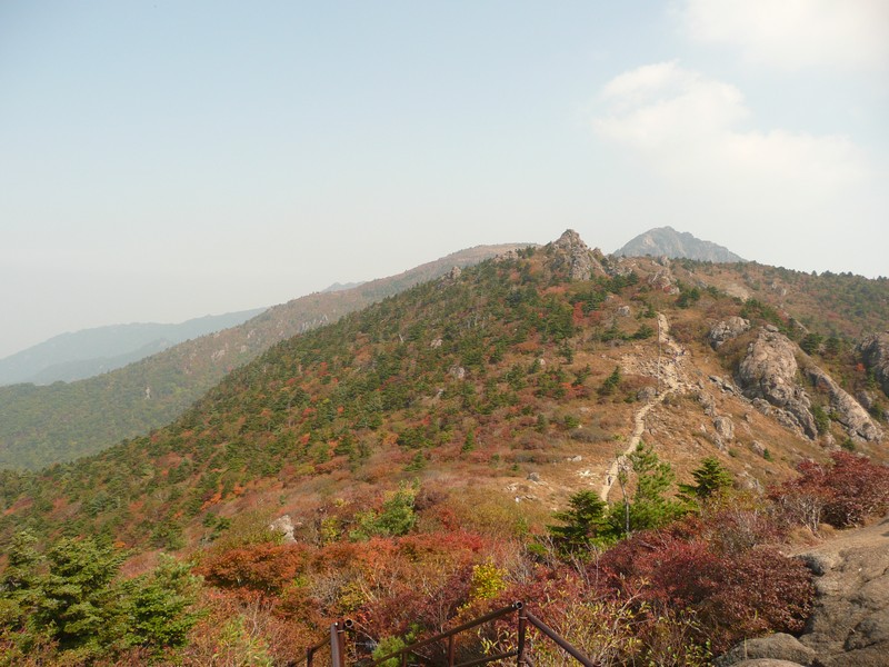 P1020420.jpg