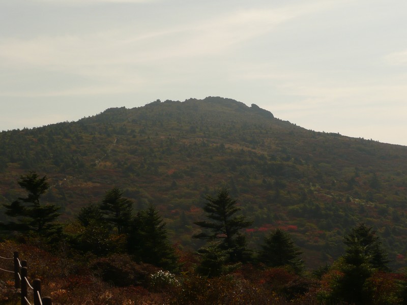 P1020404.jpg