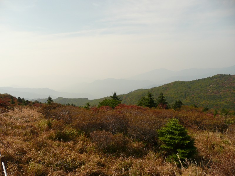 P1020413.jpg