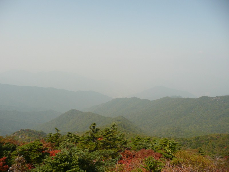 P1020419.jpg