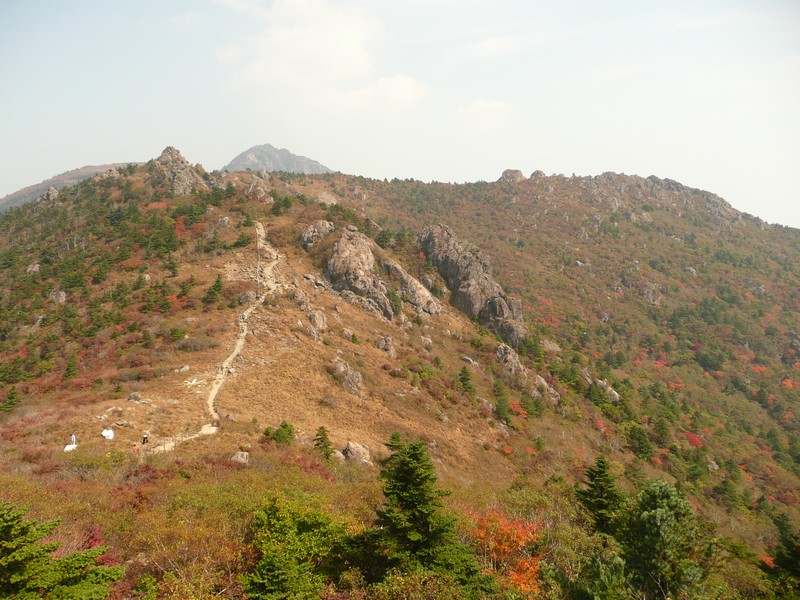 P1020425.jpg
