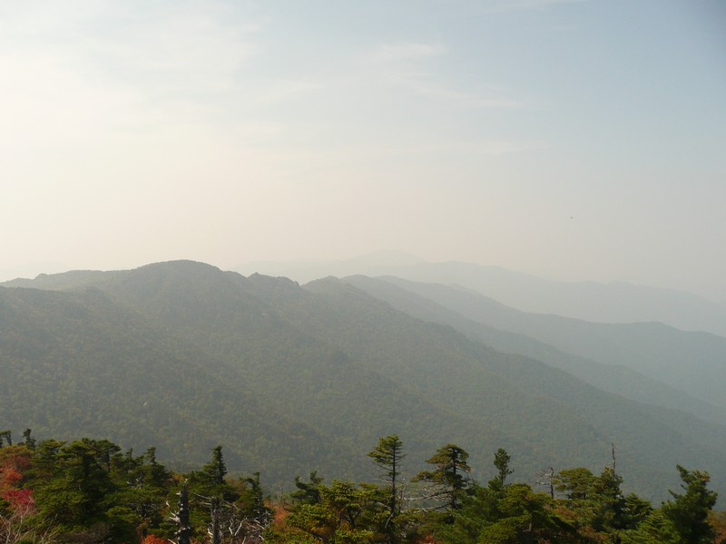P1020418.jpg