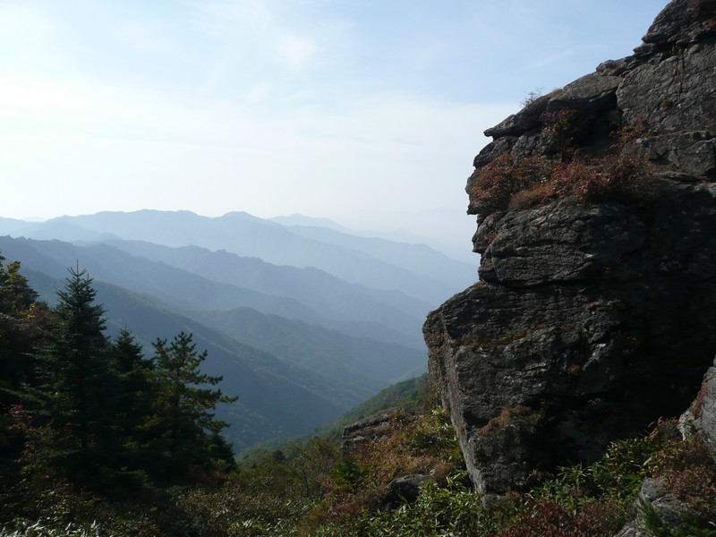 P1020387.jpg