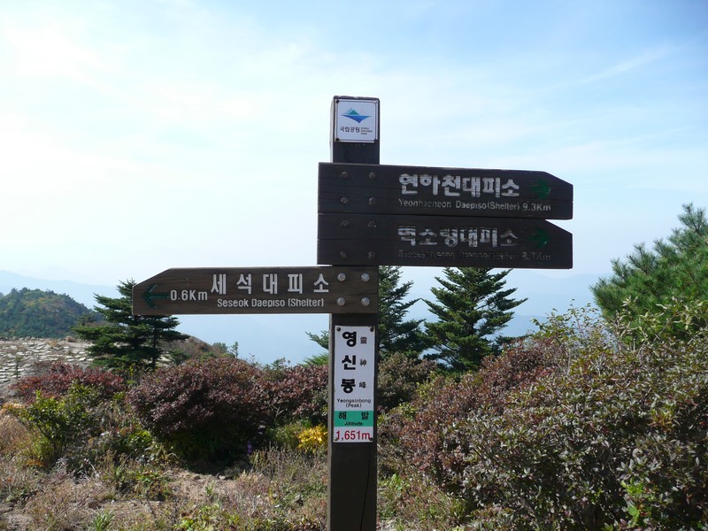 P1020396.jpg