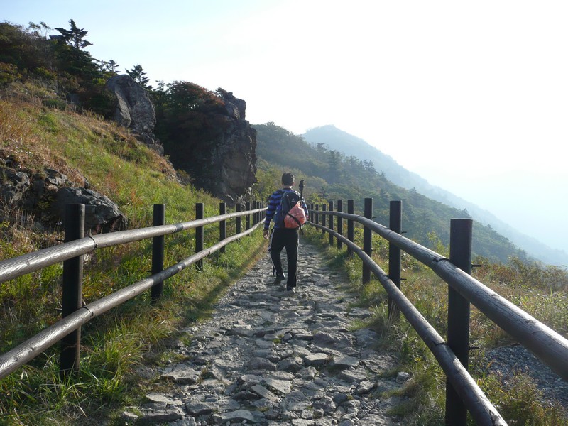P1020359.jpg