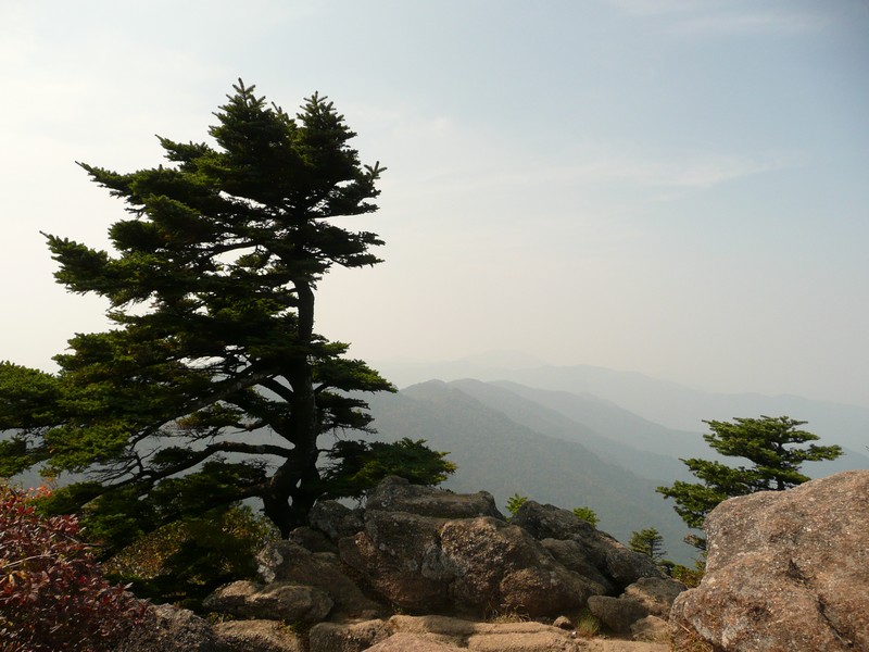 P1020427.jpg