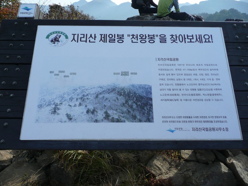 P1020369.jpg