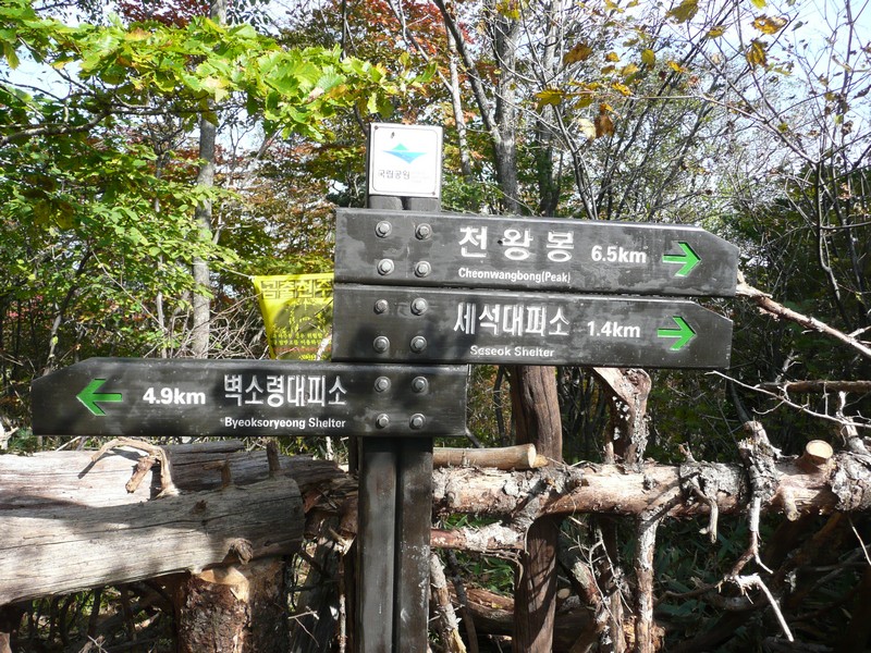 P1020390.jpg
