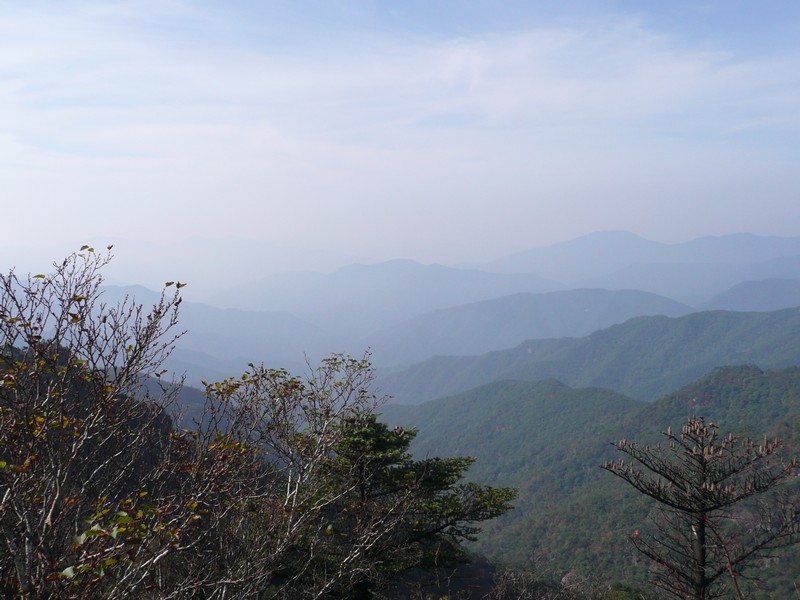 P1020391.jpg
