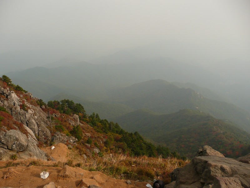 P1020434.jpg