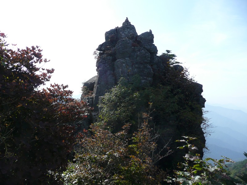 P1020379.jpg