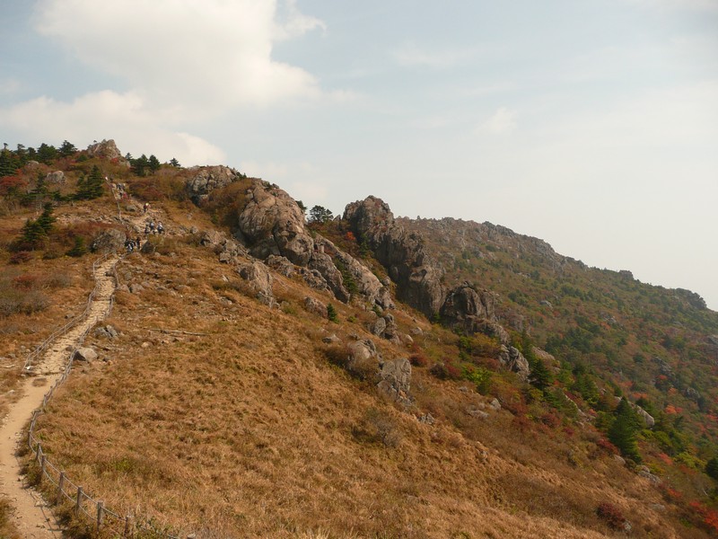 P1020428.jpg