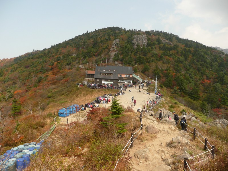 P1020429.jpg