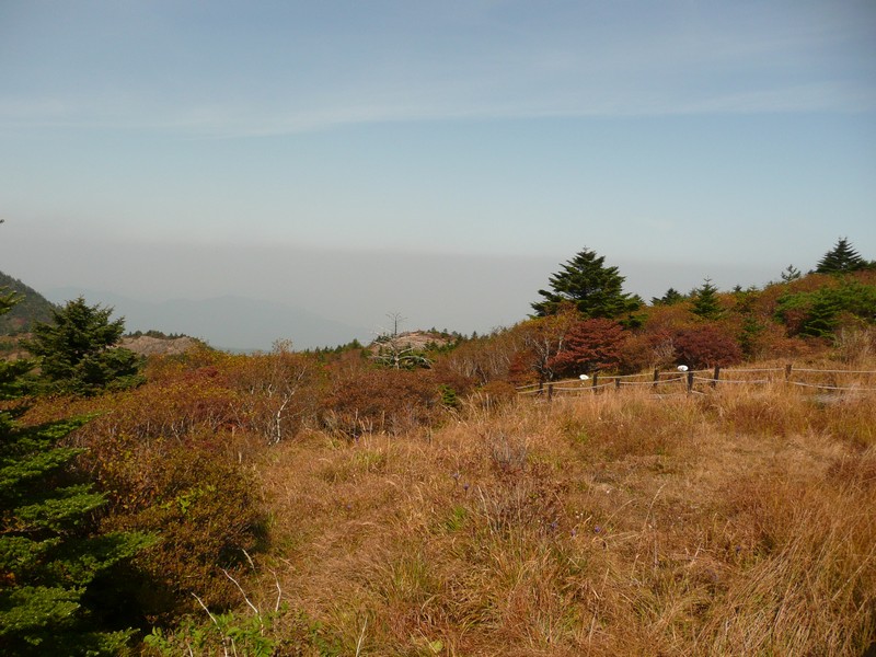 P1020414.jpg