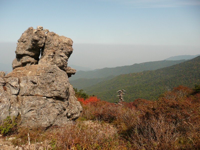 P1020415.jpg