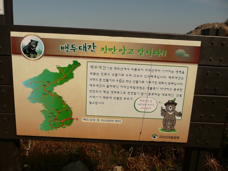 P1020416.jpg
