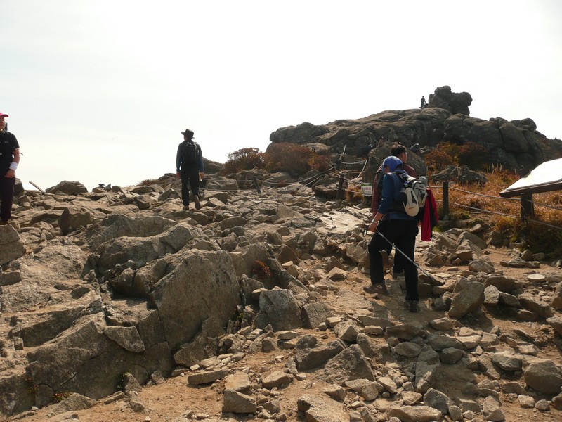 P1020417.jpg