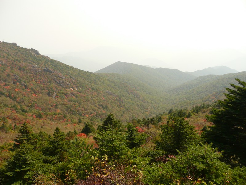 P1020424.jpg