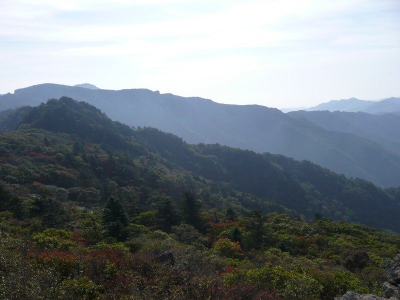 P1020375.jpg