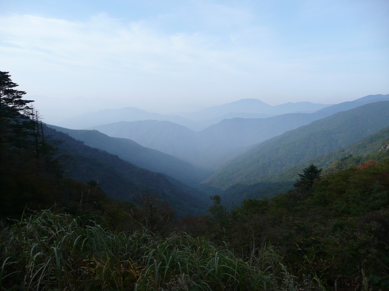 P1020364.jpg