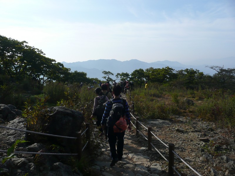 P1020365.jpg