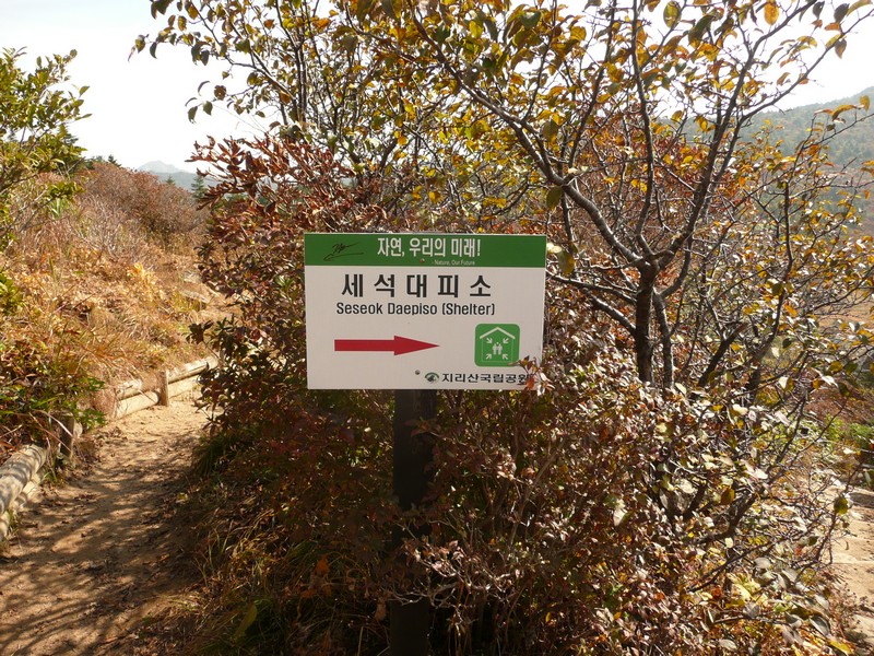 P1020407.jpg