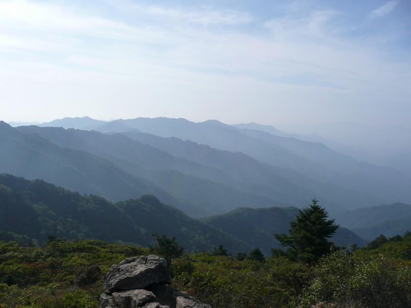 P1020376.jpg