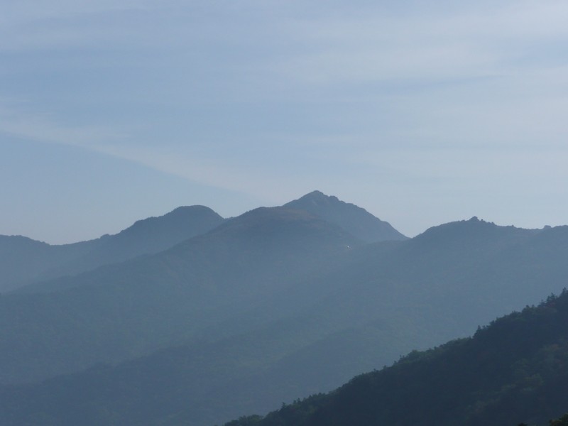 P1020377.jpg