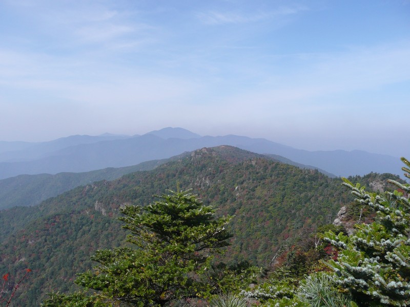 P1020392.jpg