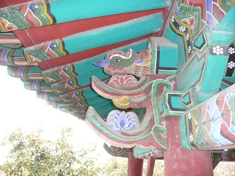 P1020484.jpg
