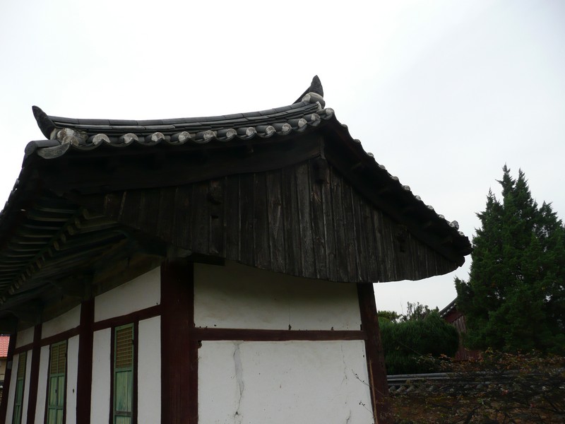 P1020489.jpg