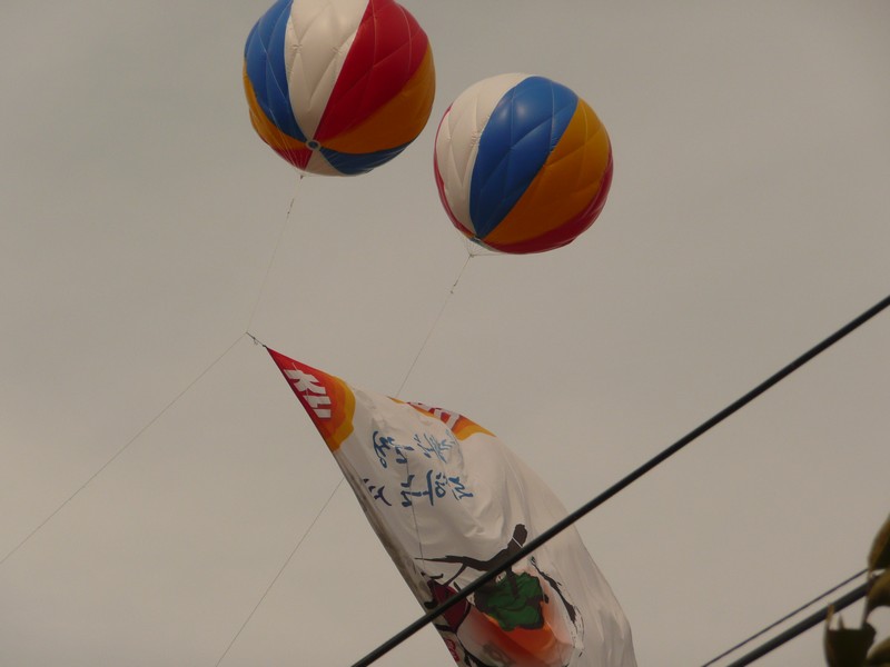 P1020446.jpg