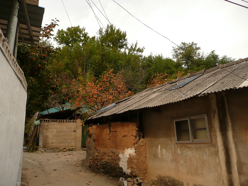 P1020435.jpg