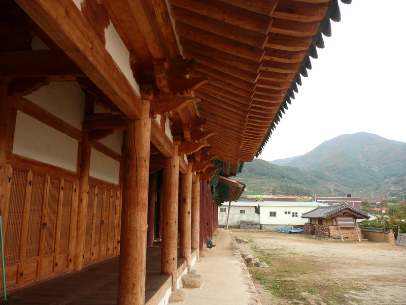 P1020506.jpg
