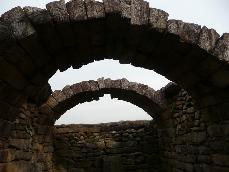 P1020456.jpg