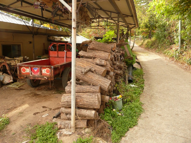 P1020439.jpg