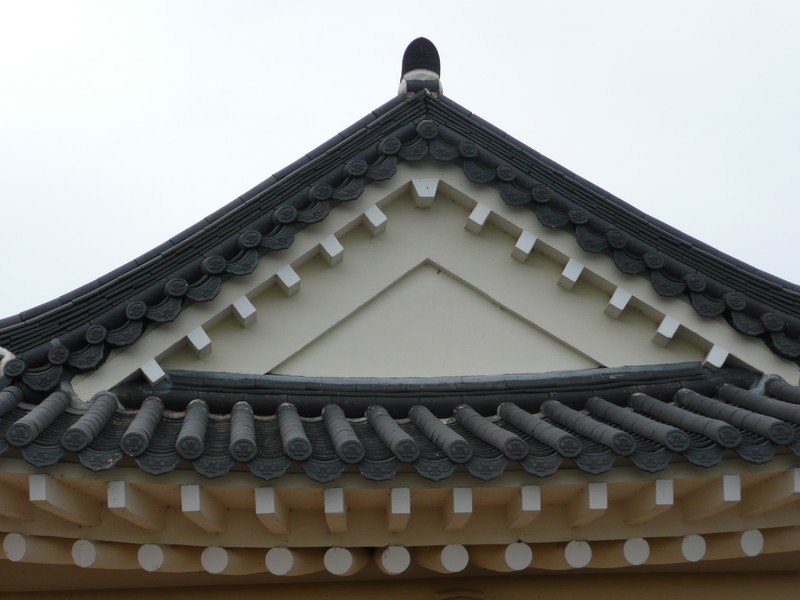 P1020468.jpg
