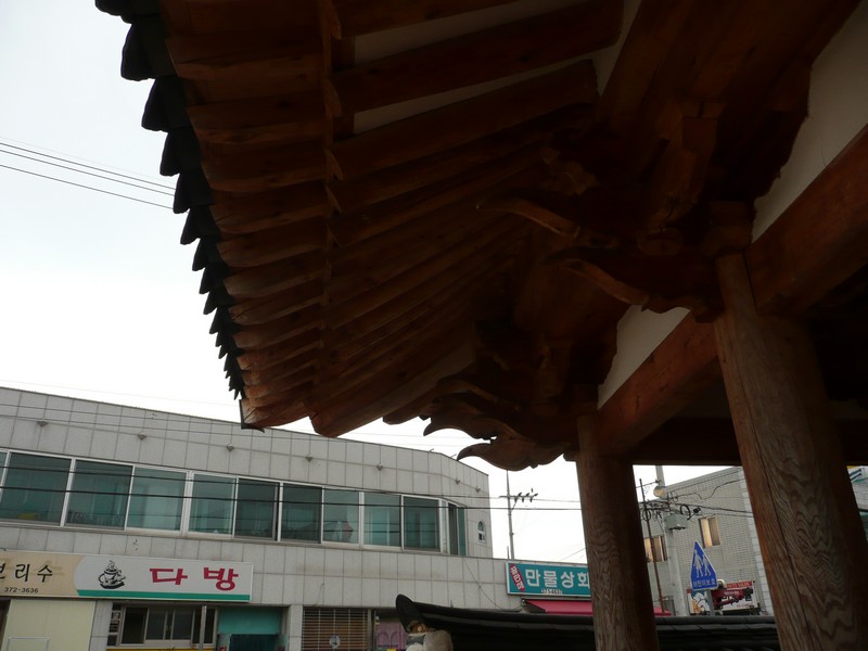 P1020505.jpg
