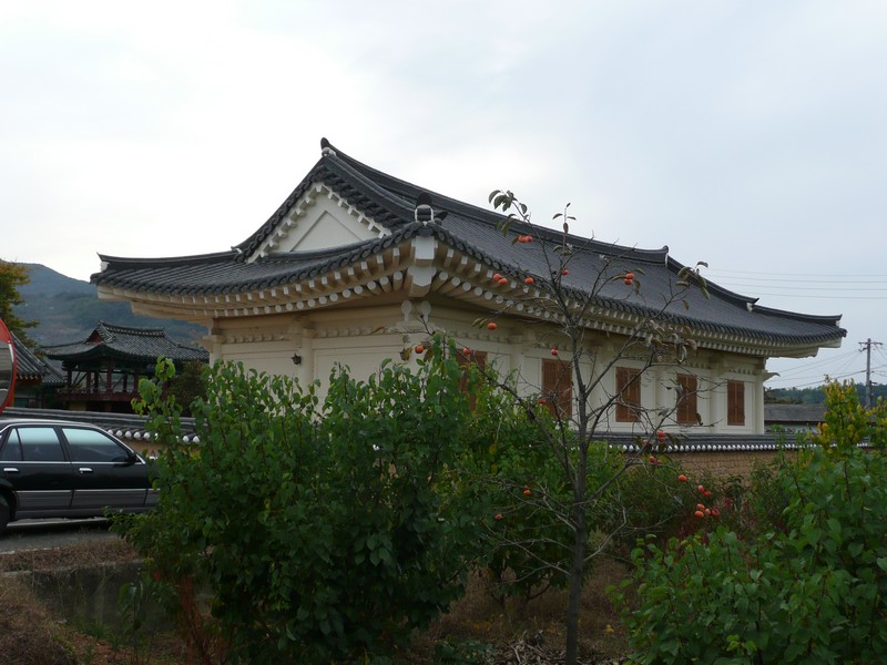 P1020464.jpg