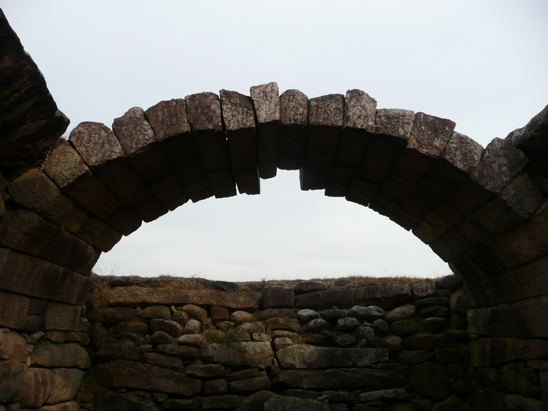 P1020457.jpg